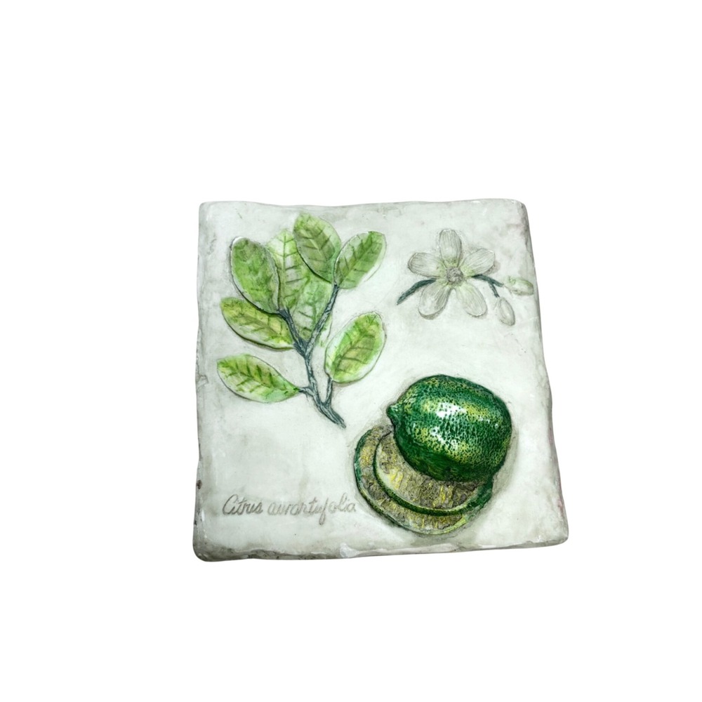Hen-Feathers Citrus Aurantifolia Lime Botanical Relief Wall Plaque 6x6 Farmhouse